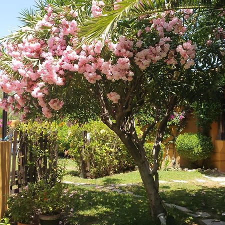 Family Hotel Al- Ana Marbella Estepona Zewnętrze zdjęcie
